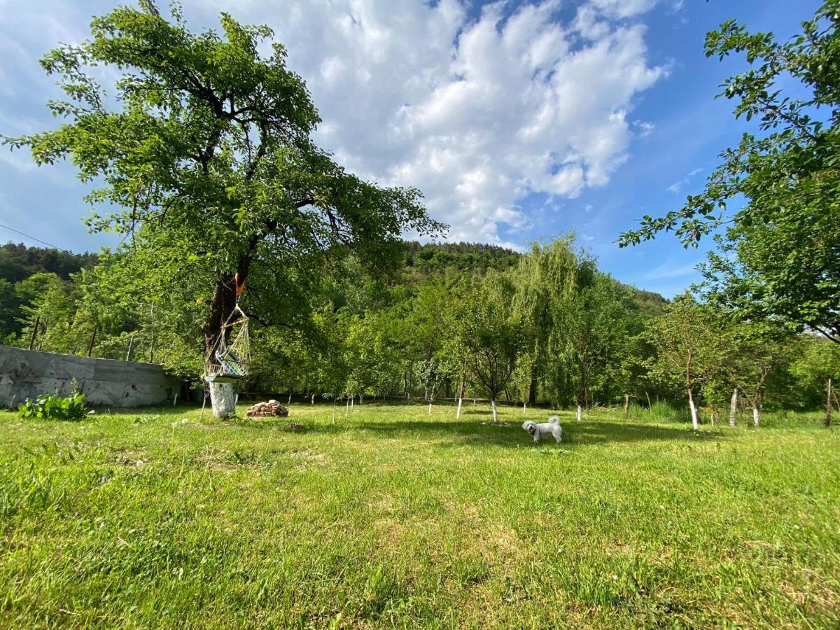 Casa Carbunaru Tirgu Ocna Exterior photo